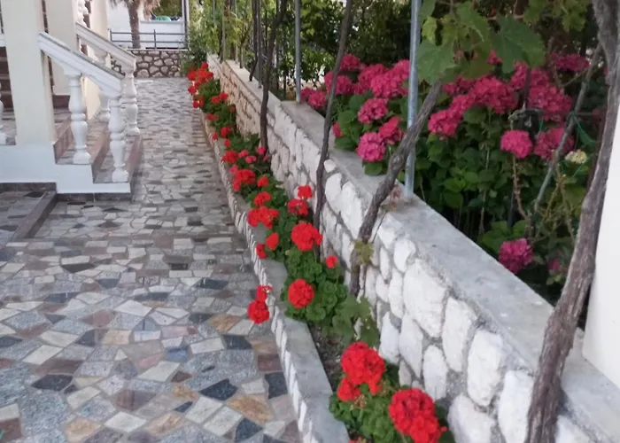 Cucic